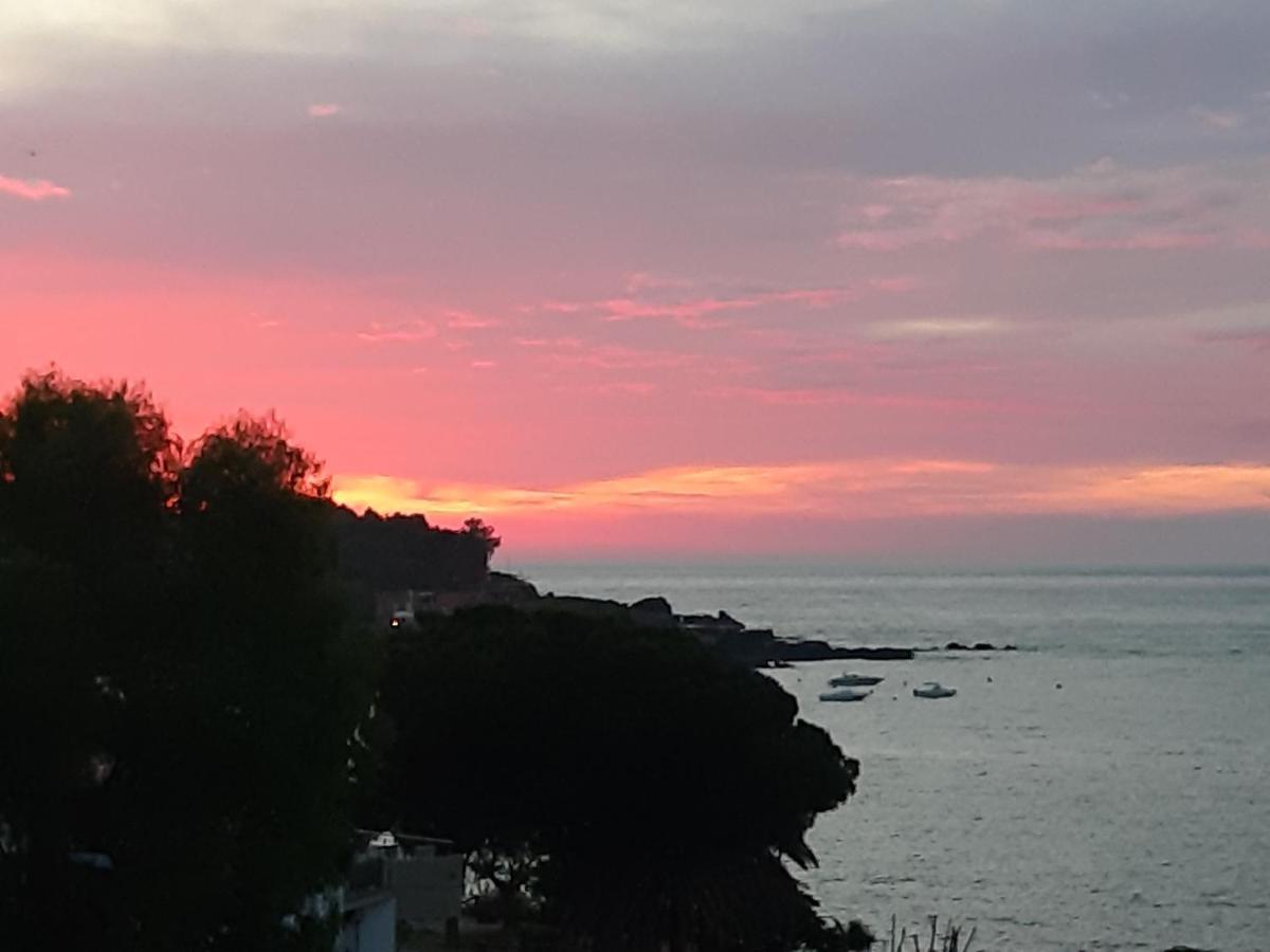 B&B Sea Terrace Aci Castello Dış mekan fotoğraf